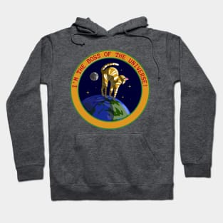 I'm the boss of the universe Hoodie